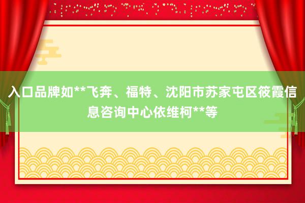 入口品牌如**飞奔、福特、沈阳市苏家屯区筱霞信息咨询中心依维柯**等