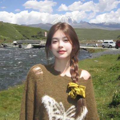 阿尔迪克